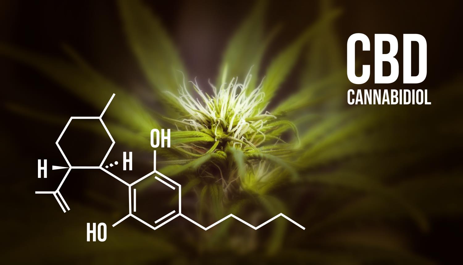 Cannabidiol CBD