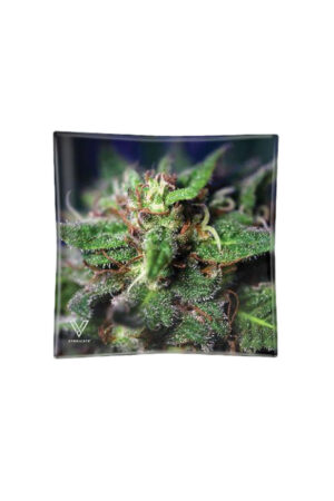 Cinzeiro de vidro - Purple Haze