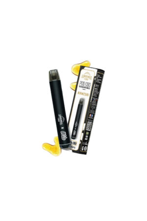 Vap recarregavel Amnesia