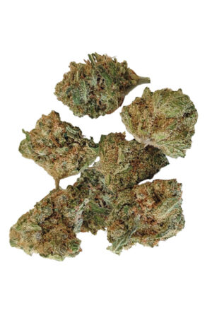 Baby Buds CBD Indoor