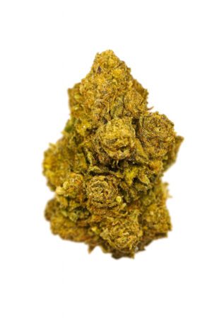 Flor BZ Amnesia Thunder