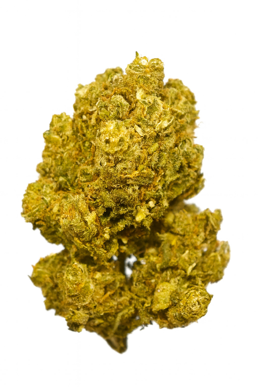 Flor BZ Amnesia Thunder - Image 2