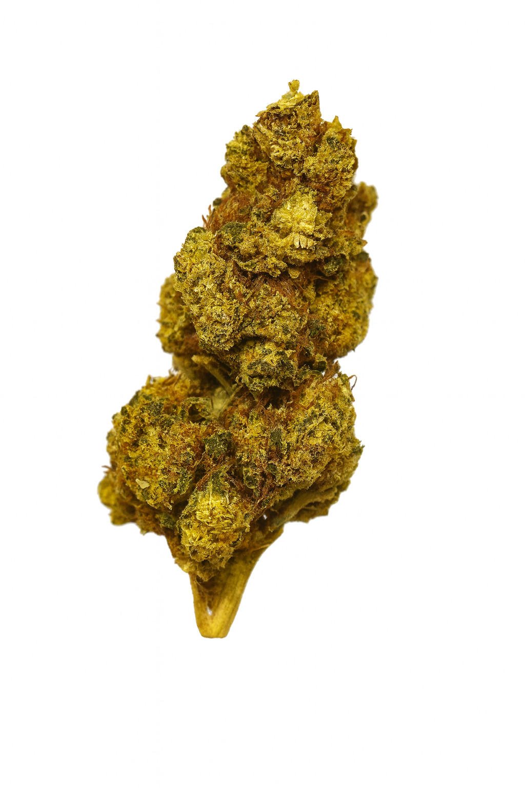 Flor BZ Super Lemon Haze - Image 2