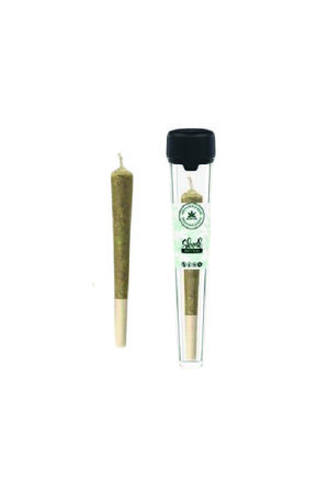 Pre-rolled CBD - Skunk