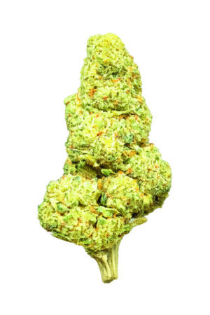 Flor BZ Liberty Haze