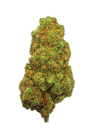 Flor BZ Frosted Sunset