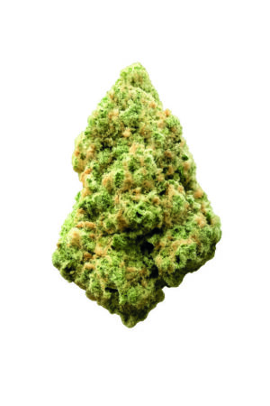 Flor CBD Biscotti USA