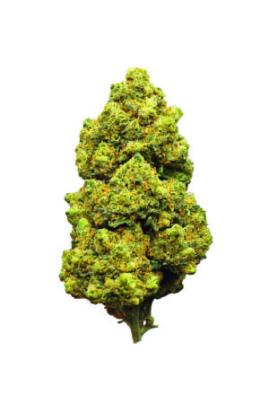 Flor BZ Amnesia Haze