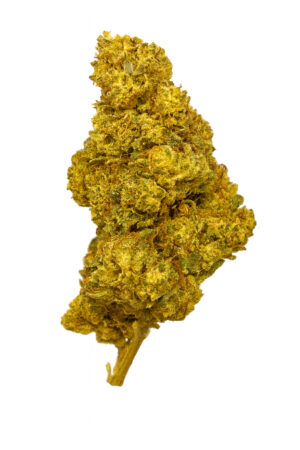 Flor BZ Gorilla Kush