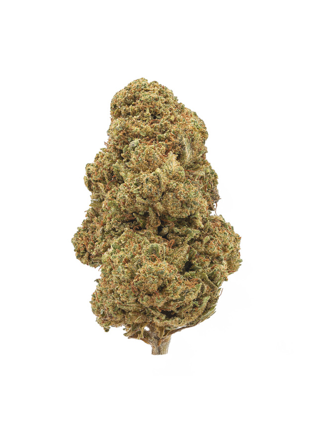 Flor CBD Gorilla Glue