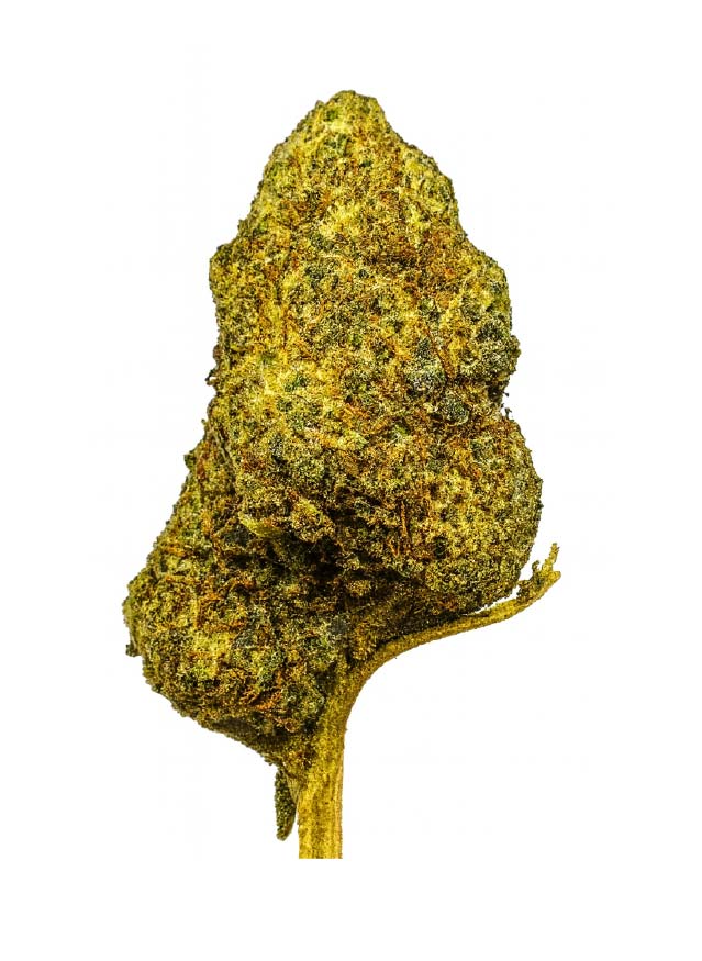 Flor BZ London Pound Cake