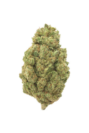 Flor BZ Northern Lights