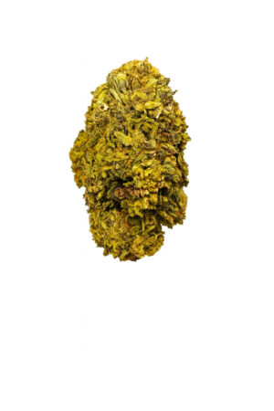 Flor Supreme Melon Fruit