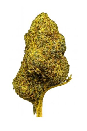 Flor Supreme Orange Punch